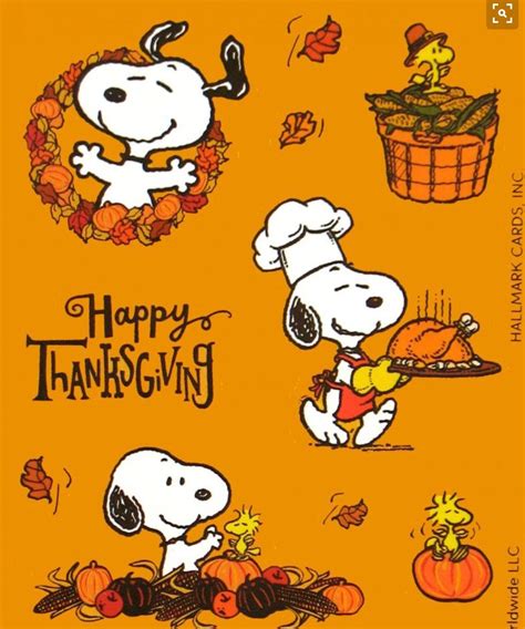 charlie brown thanksgiving wallpaper|happy thanksgiving images snoopy free.